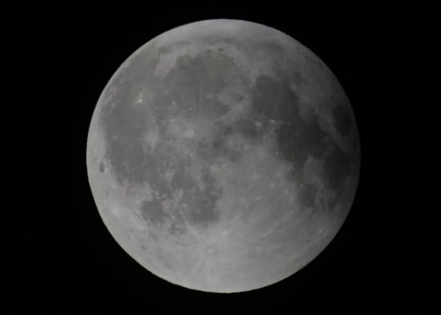 The moon is seen during its final eclipse over Los Angeles, California, early April 15, 2014.  REUTERS/Gene Blevins