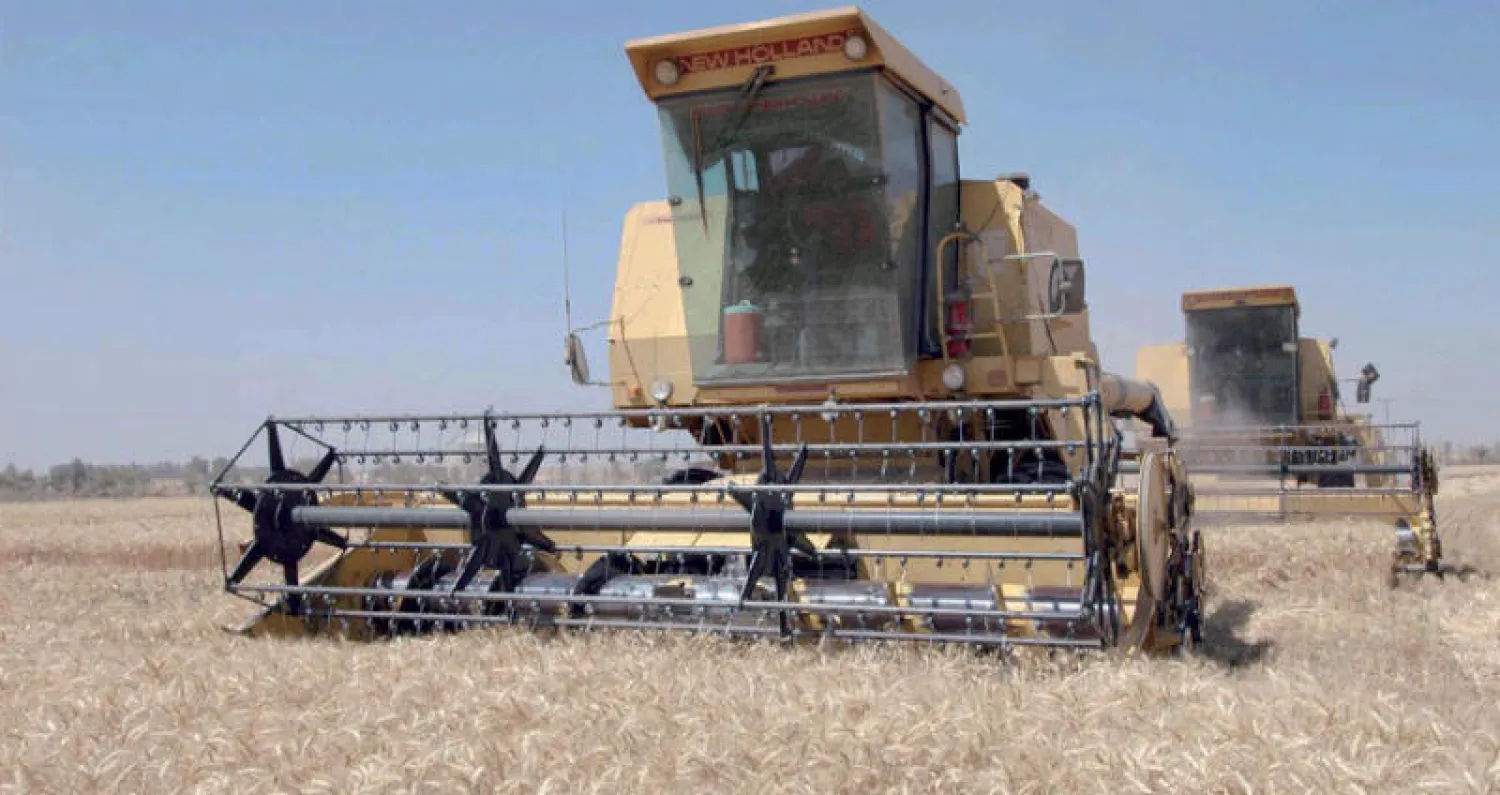 القطاعات الممولة تنوعت بين الاستثمار في الاستزراع المائي ومشروعات الدجاج اللاحم والبيوت المحمية («الشرق الأوسط»)