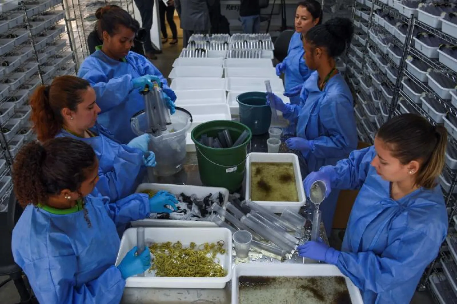 مجموعة علماء أحياء برازيليين في معهد فيوكروز في ريو دي جانيرو (أ.ف.ب)