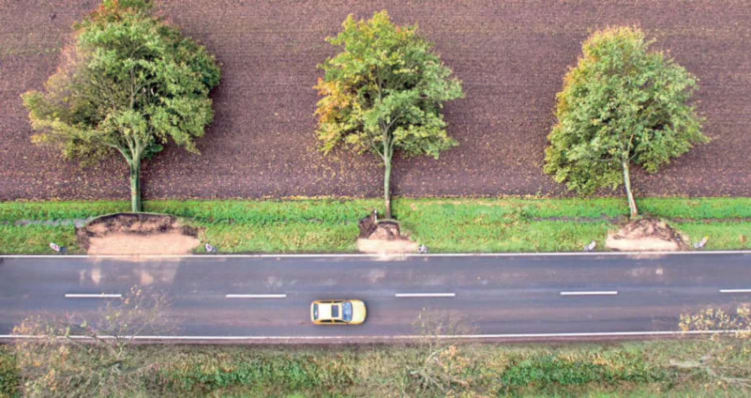 3 شجرات سقطت على الطريق في هيلدشيم وسط ألمانيا في أعقاب العاصفة خافيير (أ.ف.ب)