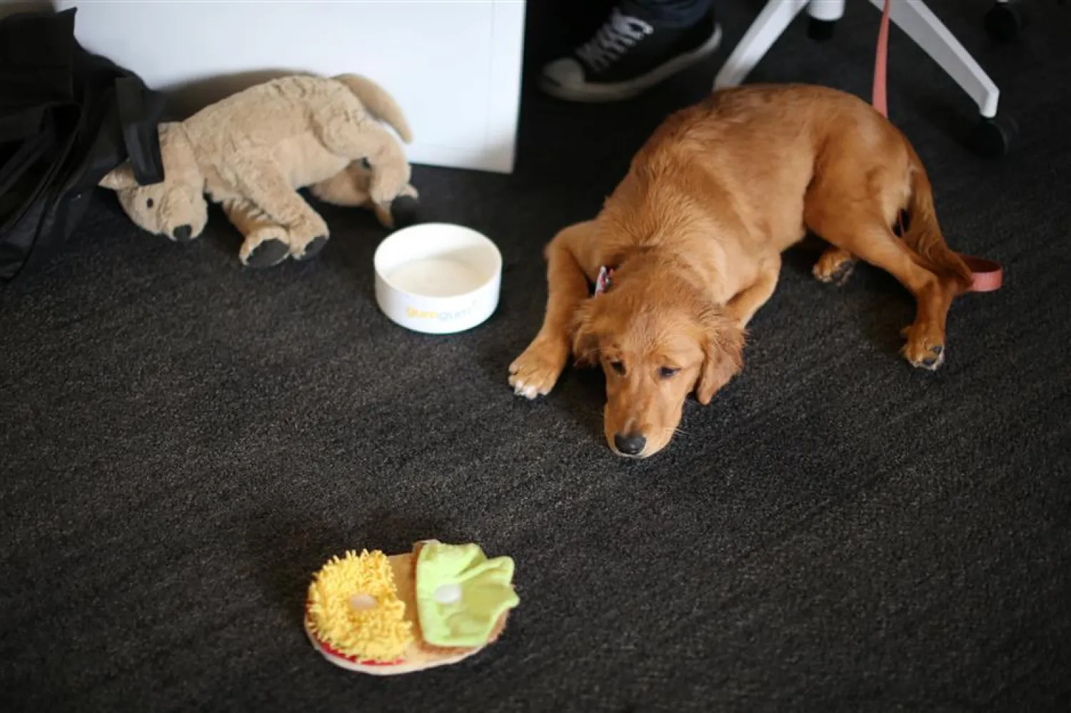 Dog treats and snacks are always up for grabs at the GumGum office. — Reuters
