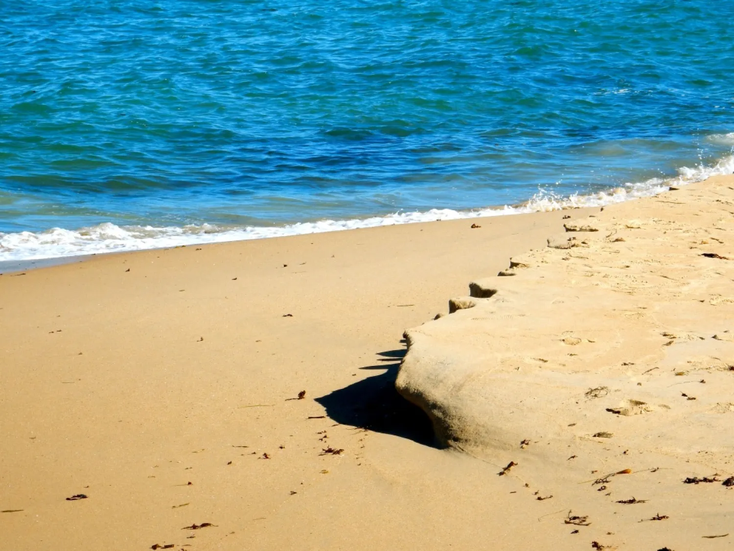 This stock photo shows a beach in Monterey, California. (AP)