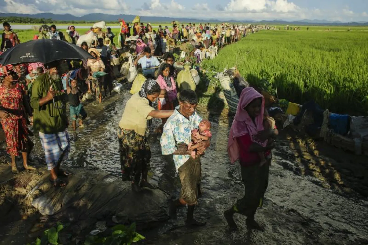 مئات من الروهينغا الفارين من ميانمار بعد عبور الحدود مع بنغلاديش (إ.ب.أ)