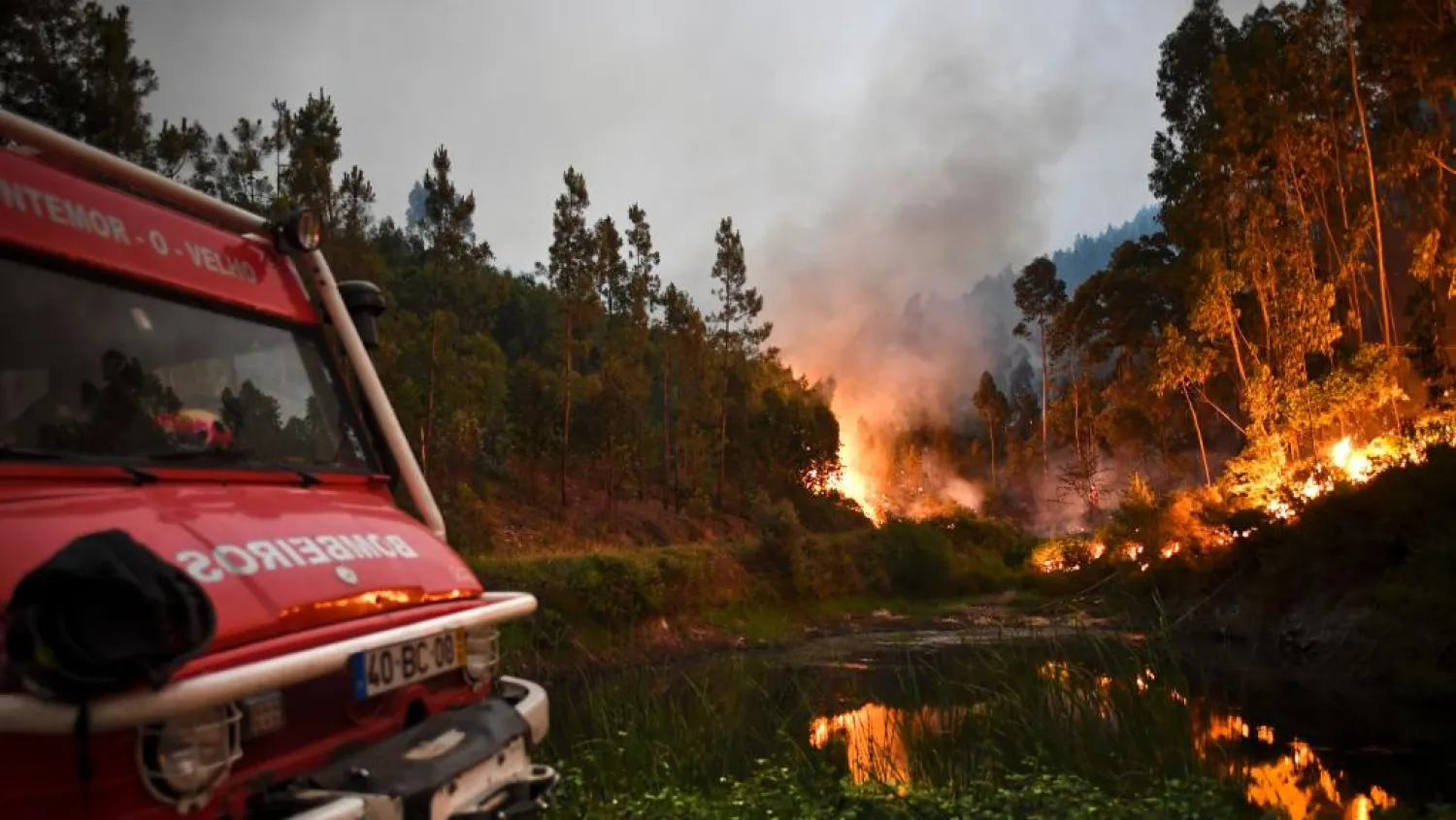 A forest fire rages in Leiria, central Portugal. AFP photo