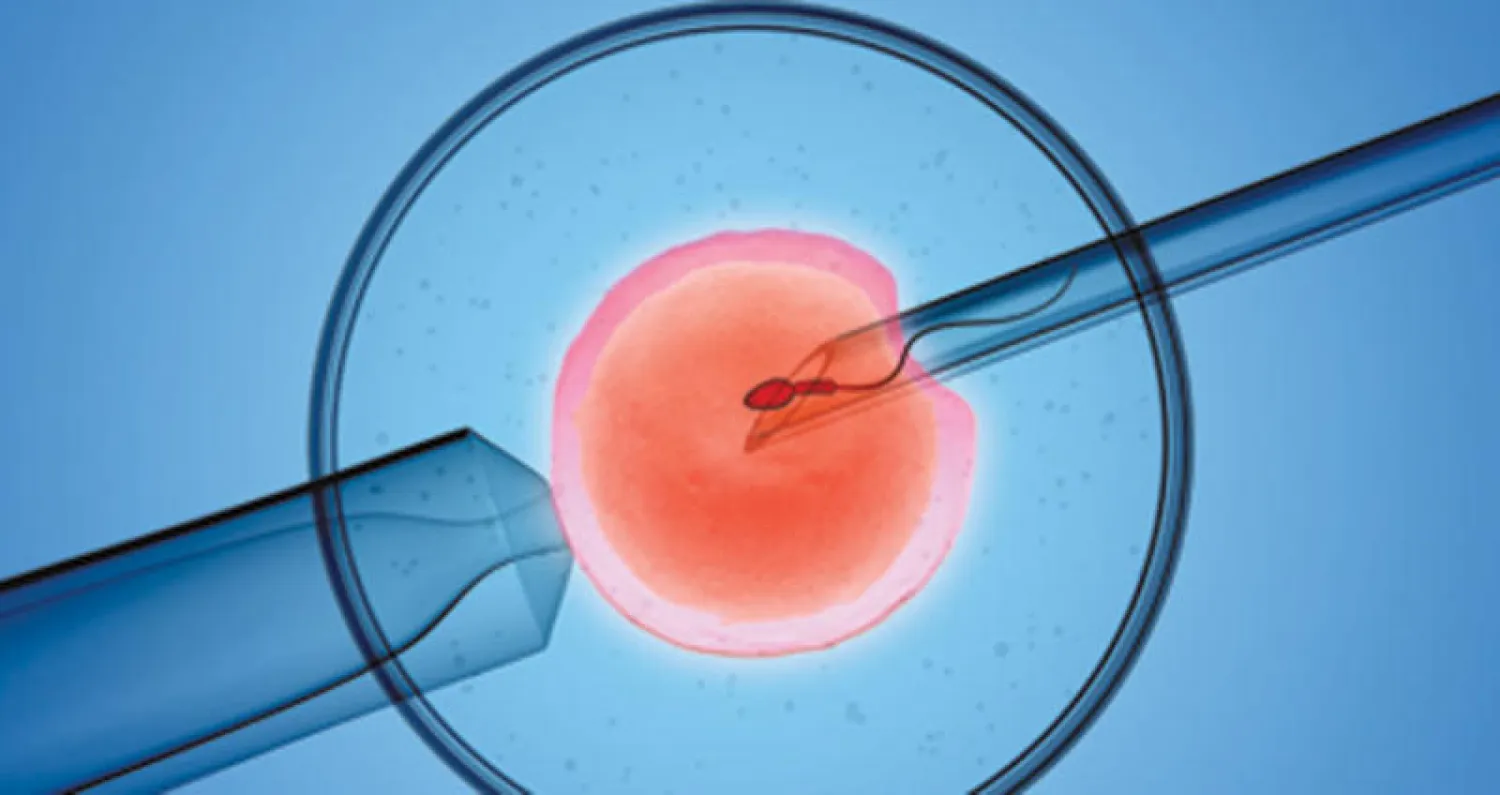 «أطفال حسب الطلب»... بأسعار مخفضة