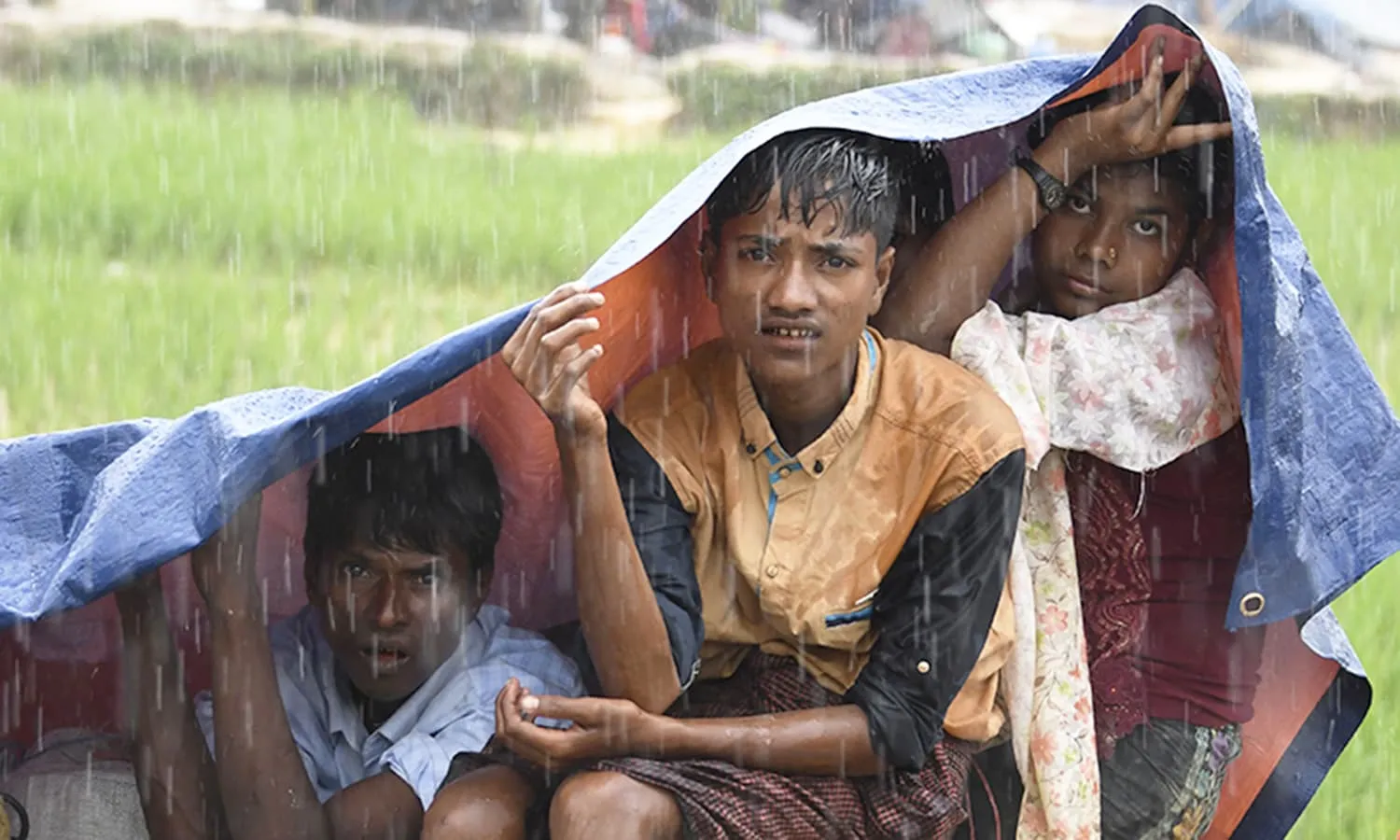 Rohingya refugees protect themself from the rain in Bangladesh's Balukhali refugee camp. AFP