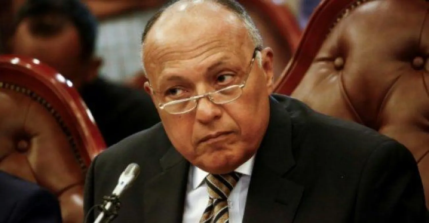 وزير الخارجية المصري سامح شكري (أ.ف.ب)