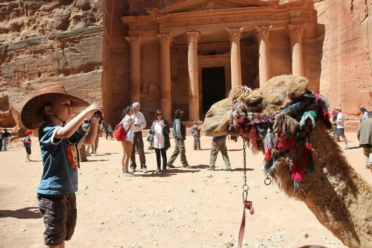 A tourist boy takes a picture of a camel at the Red Rose ancient city of Petra, southern Jordan. REUTERS/Ali Jarekji