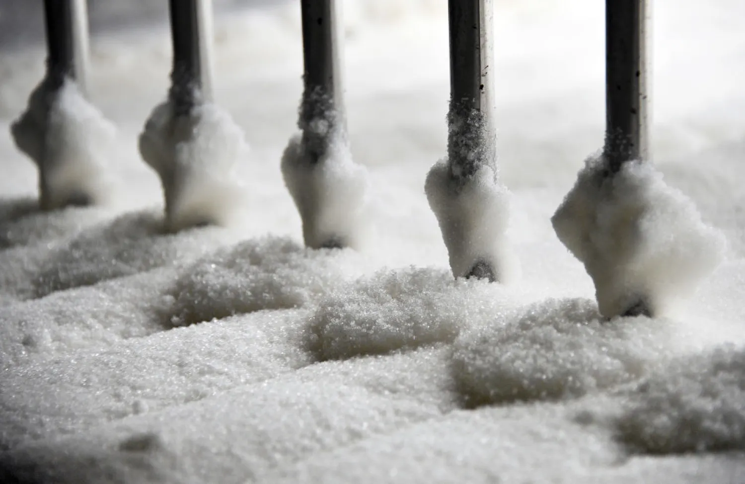 A picture taken on November 18, 2011 shows sugar obtained from sugar beets in French firm Tereos' sugar refinery in the French northern town of Lilliers. PHILIPPE HUGUEN/AFP