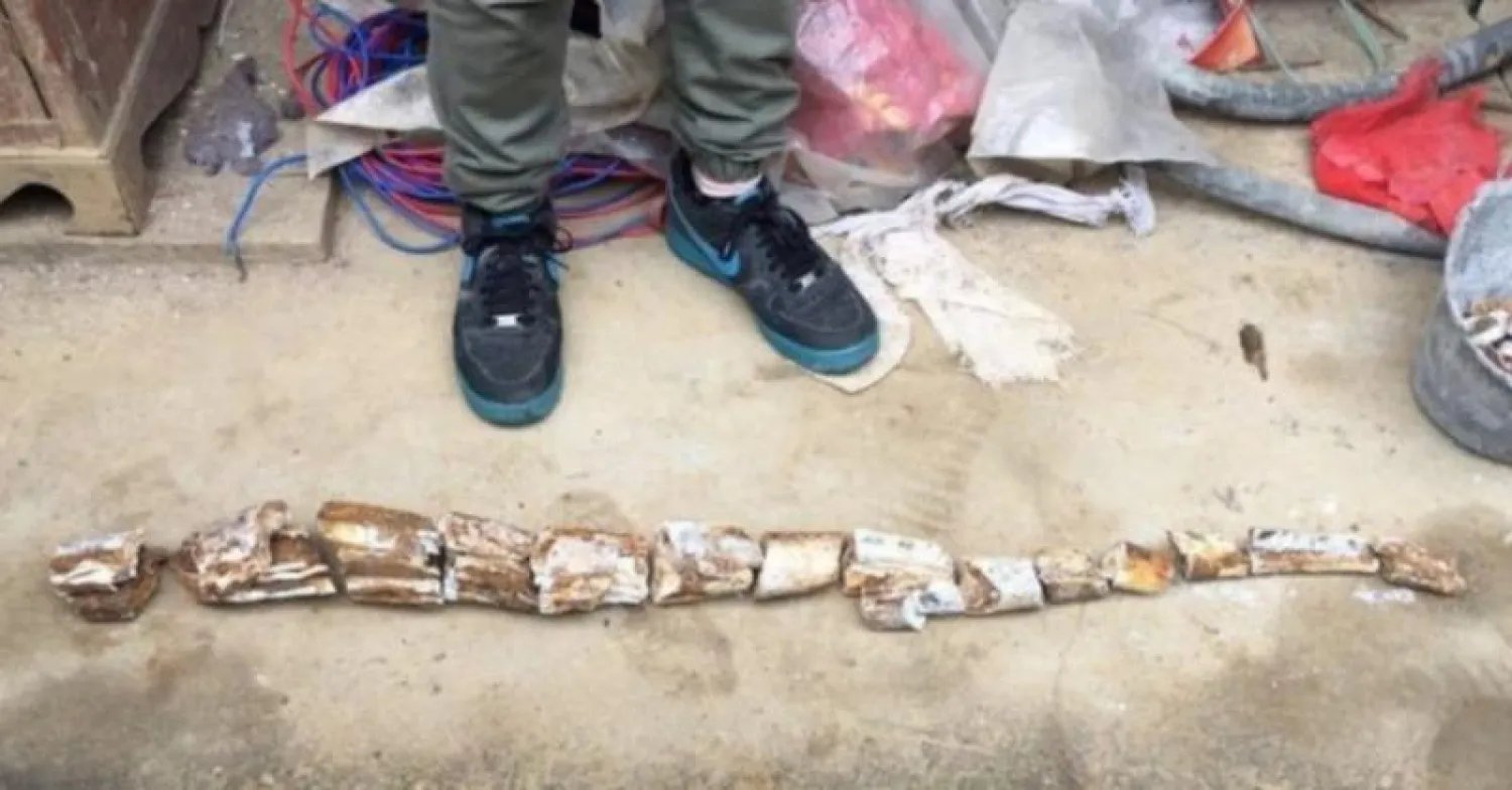 بعض من الحفريات التي وجدت (ساوث تشاينا مورنينغ بوست)