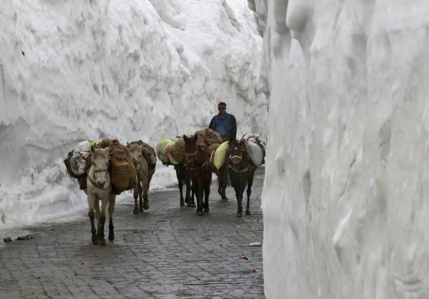 A man guides donkeys through a mountainous road covered by snow east of Srinagar, India. Reuters