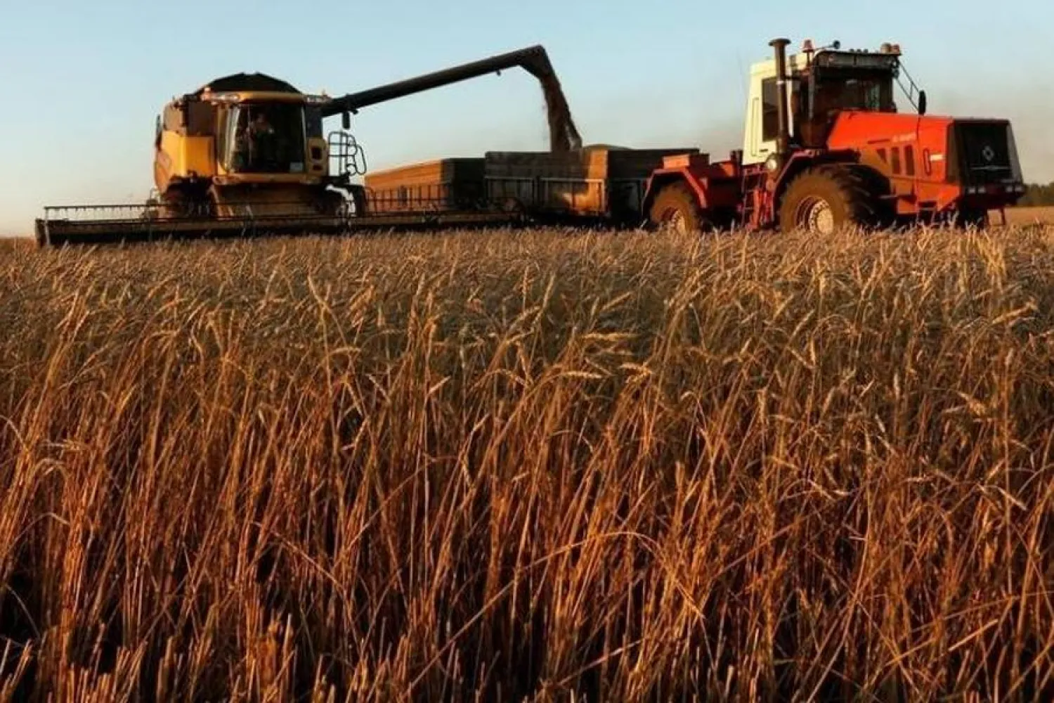 A combine harvests wheat in a field of the Solgonskoye farming company near the village of Talniki, southwest of the Siberian city of Krasnoyarsk, Russia. (Reuters)
