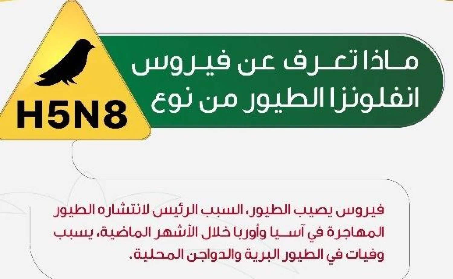 «الزراعة» السعودية: إصابة عدد من الطيور بإنفلونزا «H5N8»