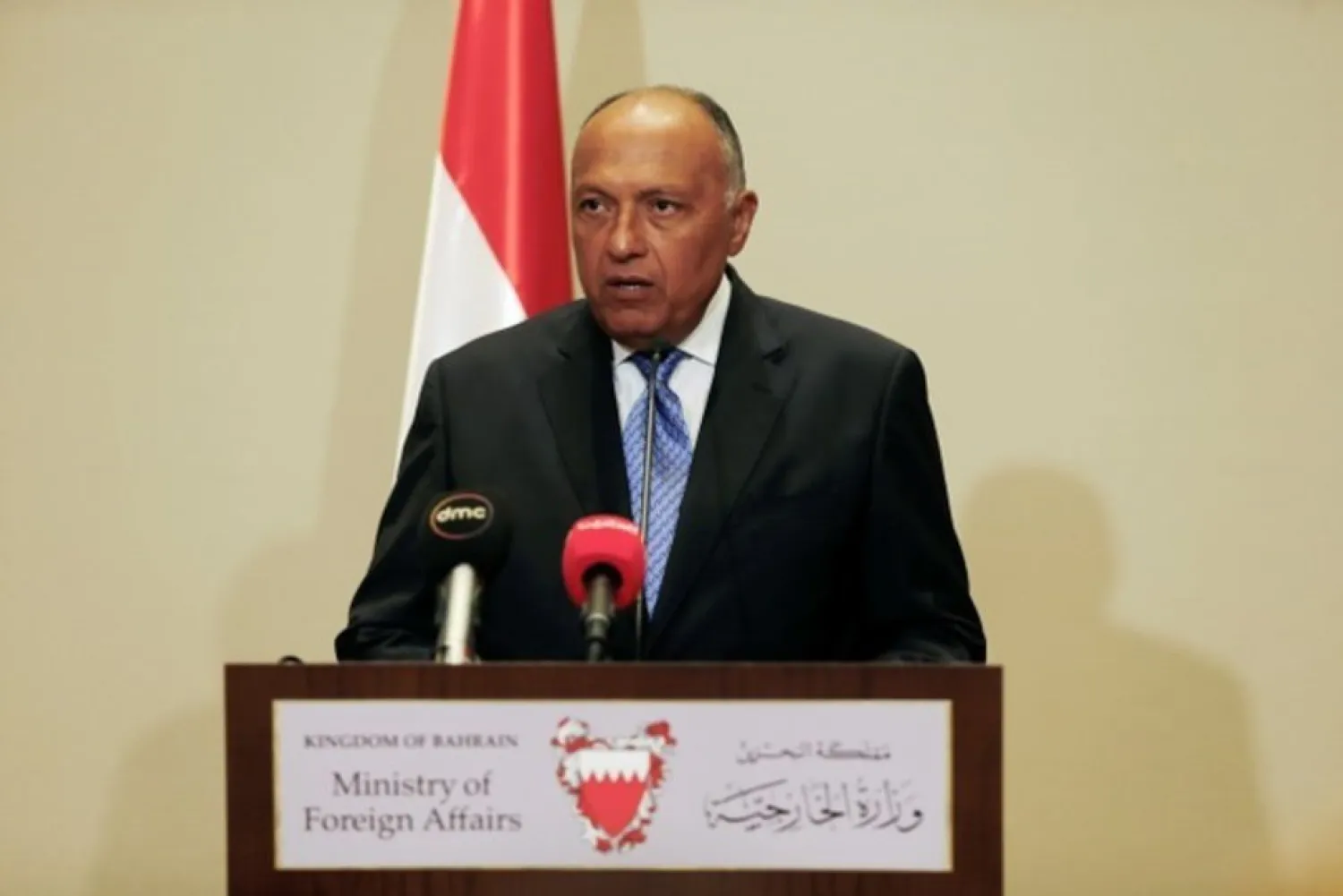  Egypt's Foreign Minister Sameh Shoukry. (Reuters)