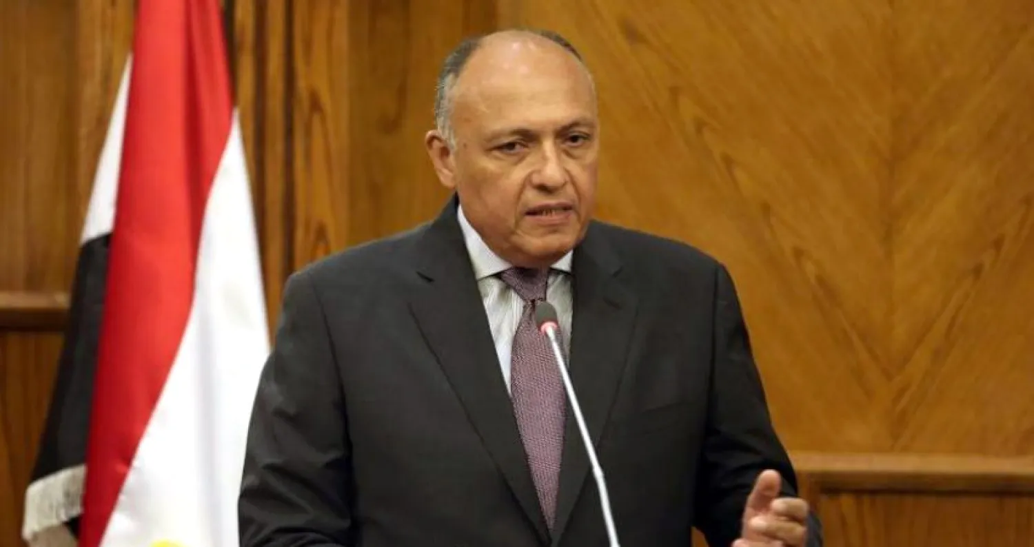مصر تؤكد دعمها للحل السياسي في سوريا