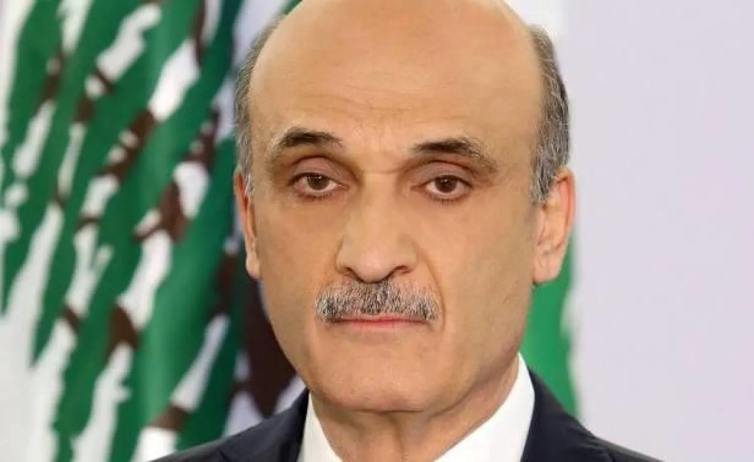 رئيس حزب القوات اللبنانية سمير جعجع (الوكالة الوطنية للإعلام)