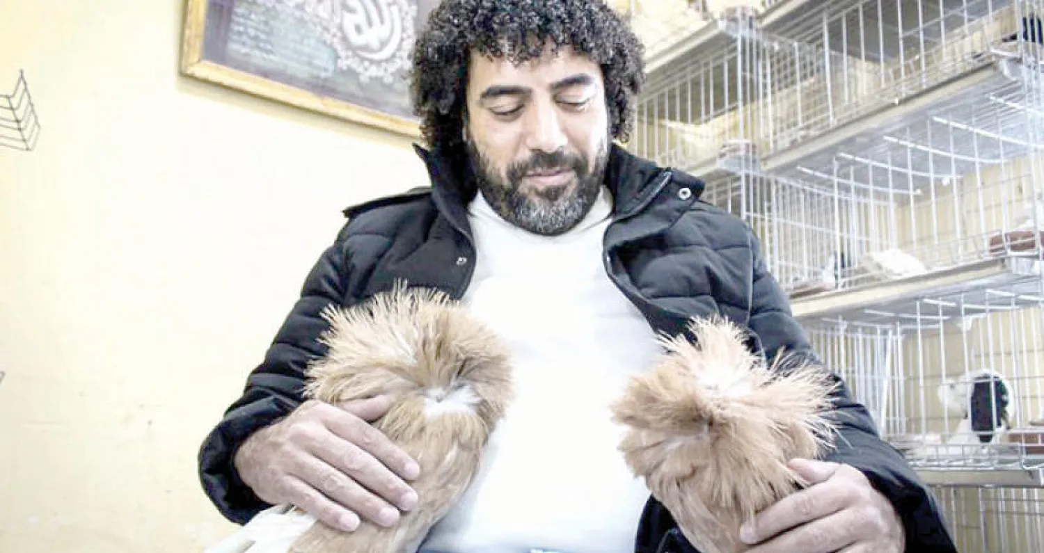 مجاهد البربري يحمل «حمام الزينة» من النوع النمساوي («الشرق الأوسط»)