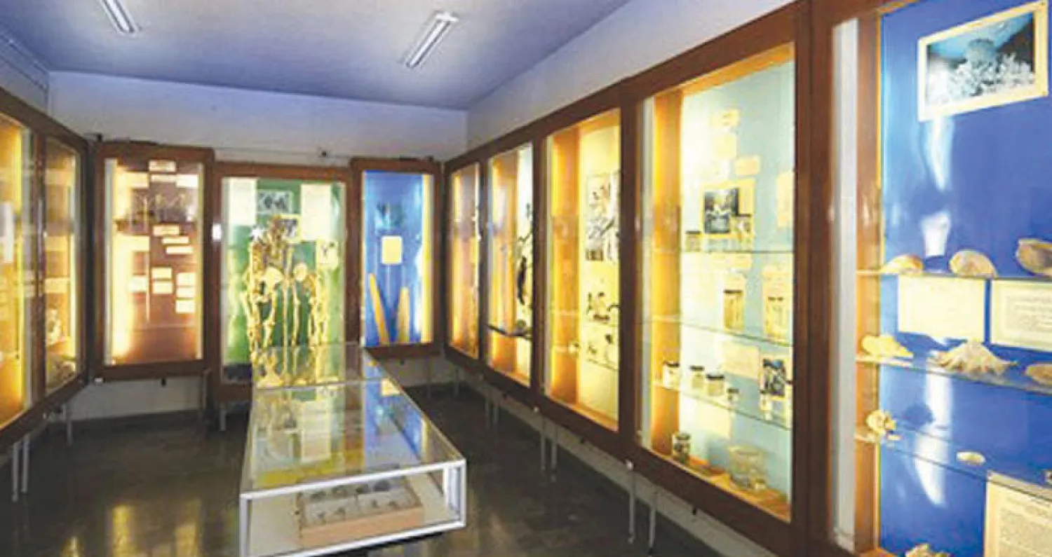 إحدى قاعات المتحف الأركيولوجي في الجامعة الأميركية في بيروت