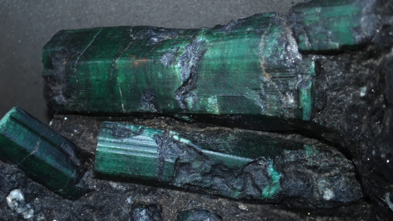 The Bahia Emerald. Source: Los Angeles sheriffs department/Reuters