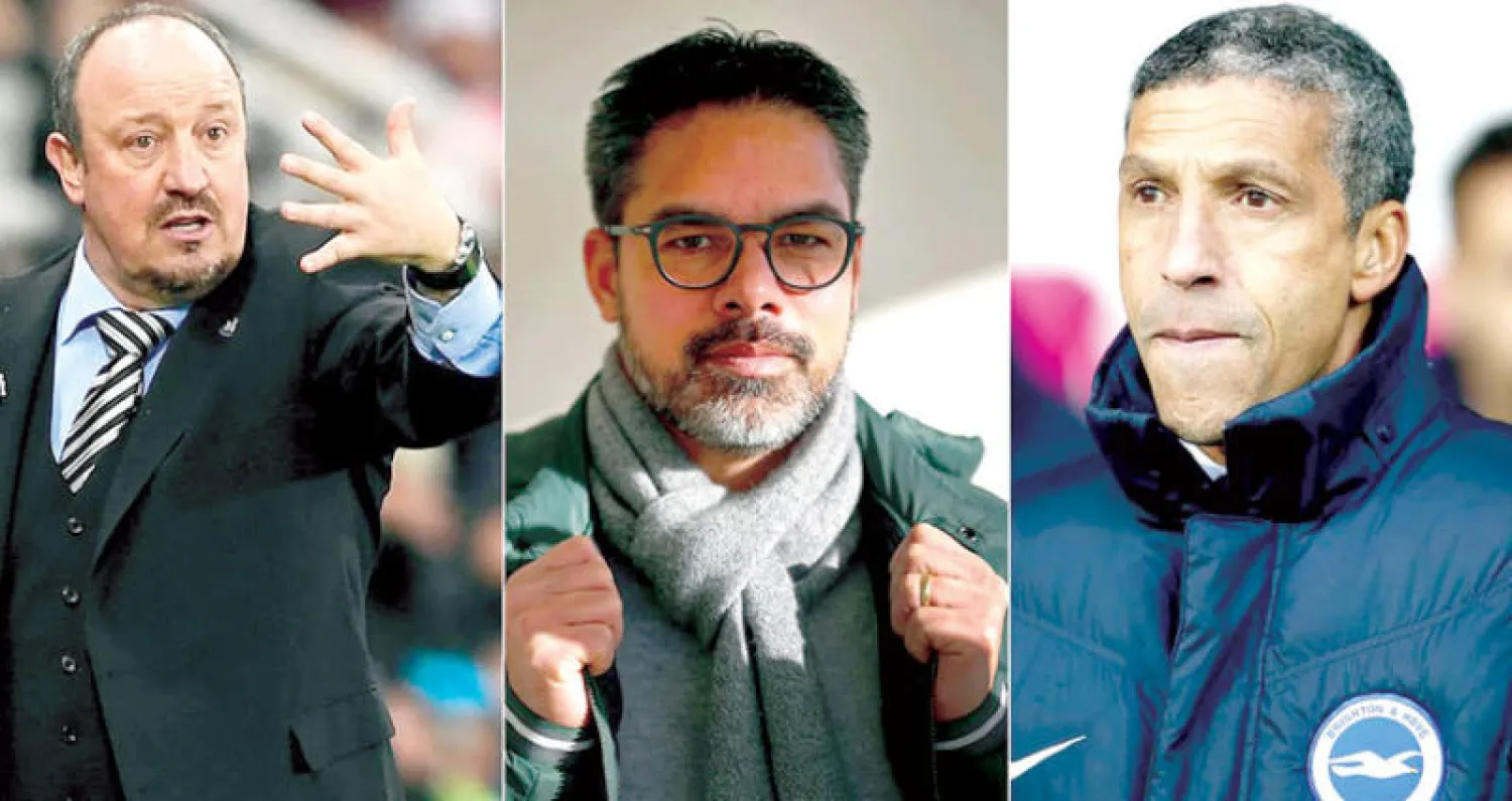 هويتون مدرب برايتون  -  فاغنر مدرب هيدرسفيلد  -  بينيتيز مدرب نيوكاسل