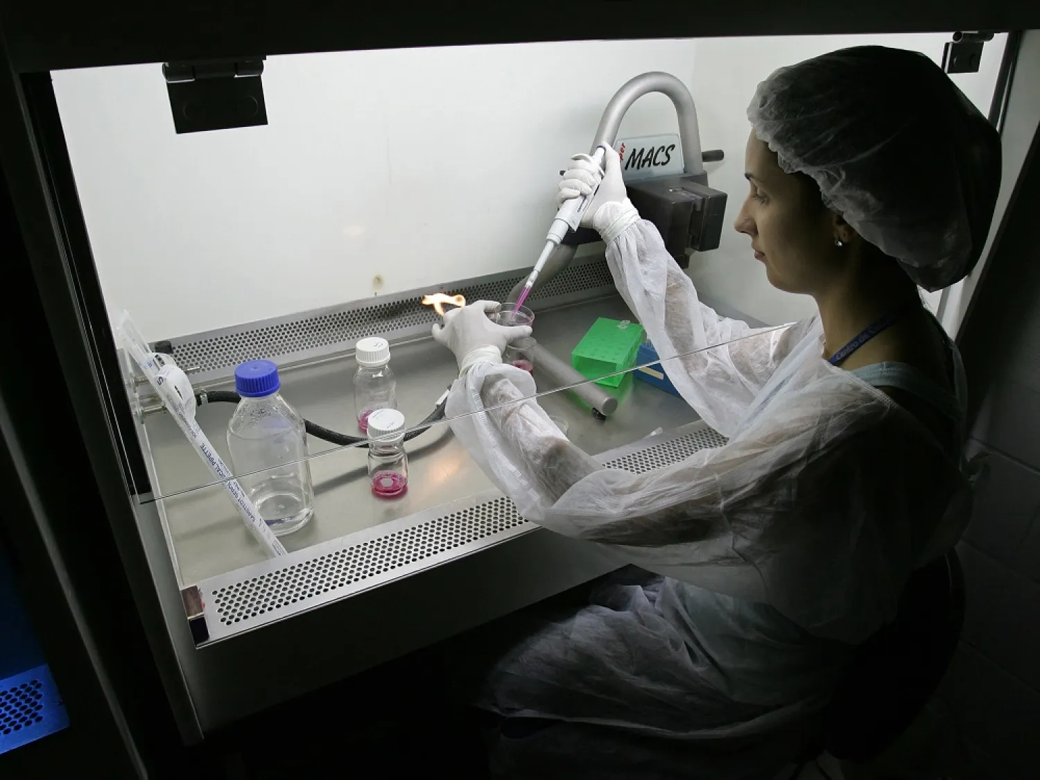 Scientists succeeded in growing a human egg to maturity in a laboratory. (AFP)