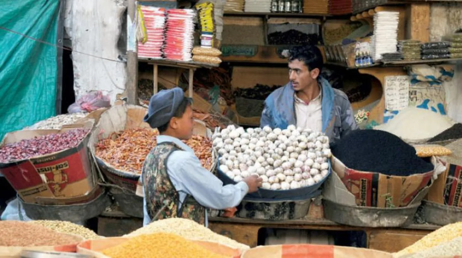 Houthis Attempt to Control Yemeni Economy Through Cooperating with Iran, Qatar 