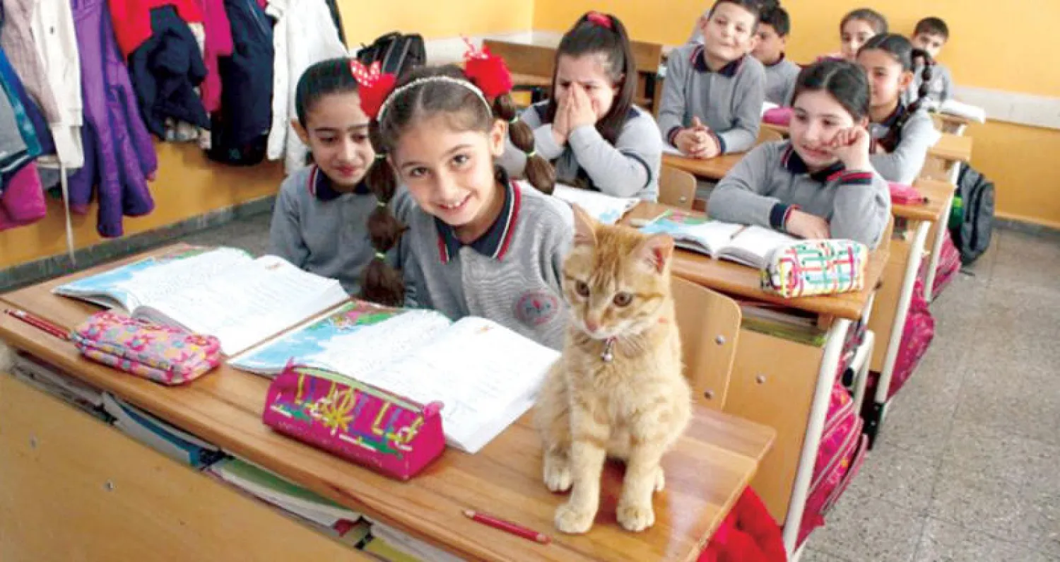 «تومبي» في الفصل الدراسي