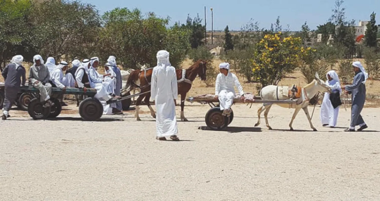 سكان شمال سيناء يعتمدون على الحمار في التنقل («الشرق الأوسط»)