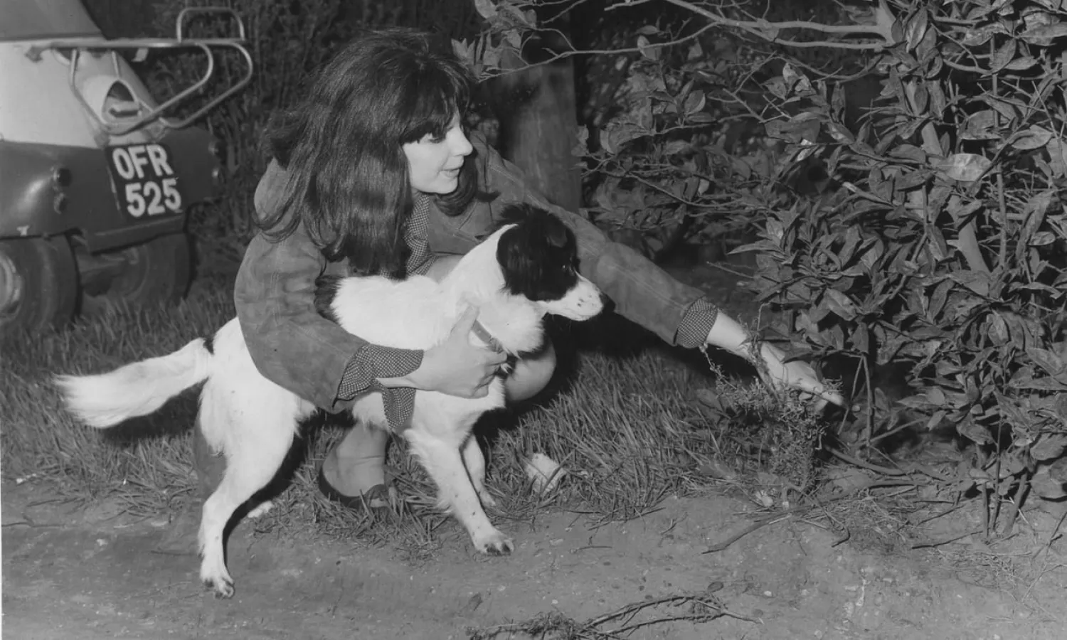  Pickles with Jeanne Corbett, pointing out the spot on Beulah Hill in Norwood where the World Cup was found. Photograph: Hulton Getty
