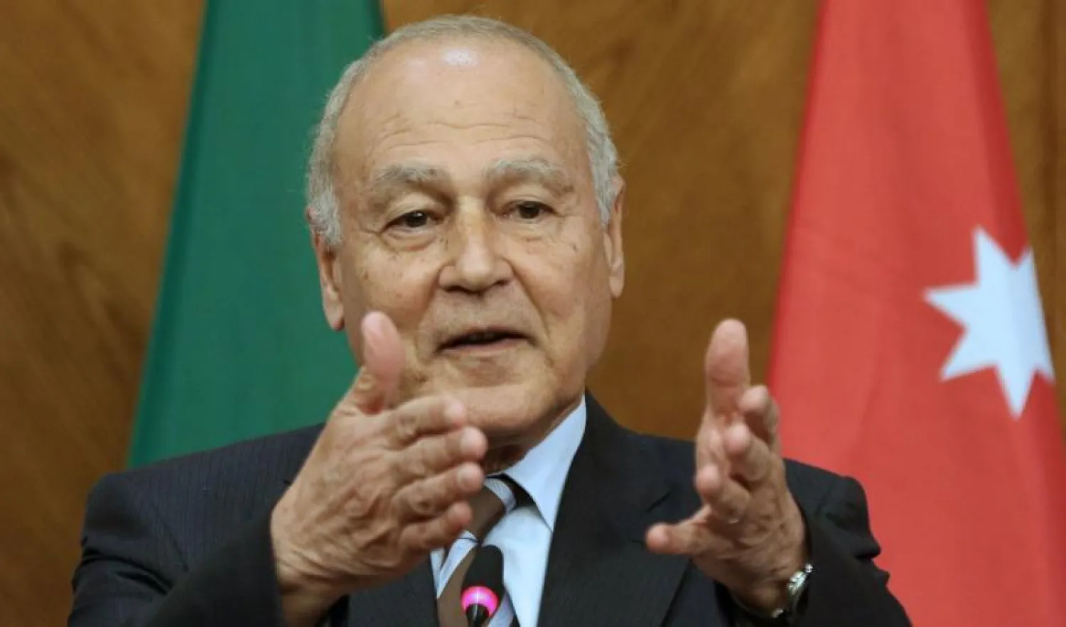 الأمين العام لجامعة الدول العربية أحمد أبو الغيط (أ.ف.ب)