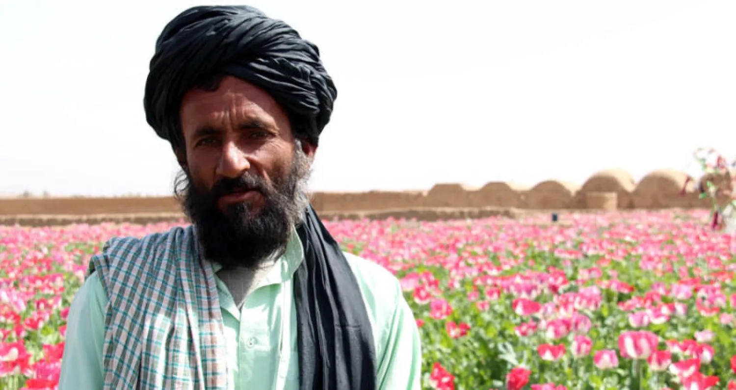 مزارع أفغاني وسط حقول الخشخاش في ولاية هلمند (إ.ب.أ)