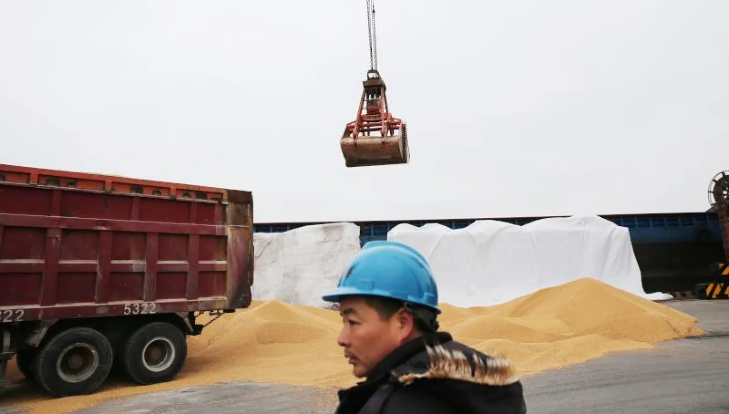 تفريغ شحنات من واردات فول الصويا الأميركية بميناء نانتونغ شرق الصين (أ.ف.ب)