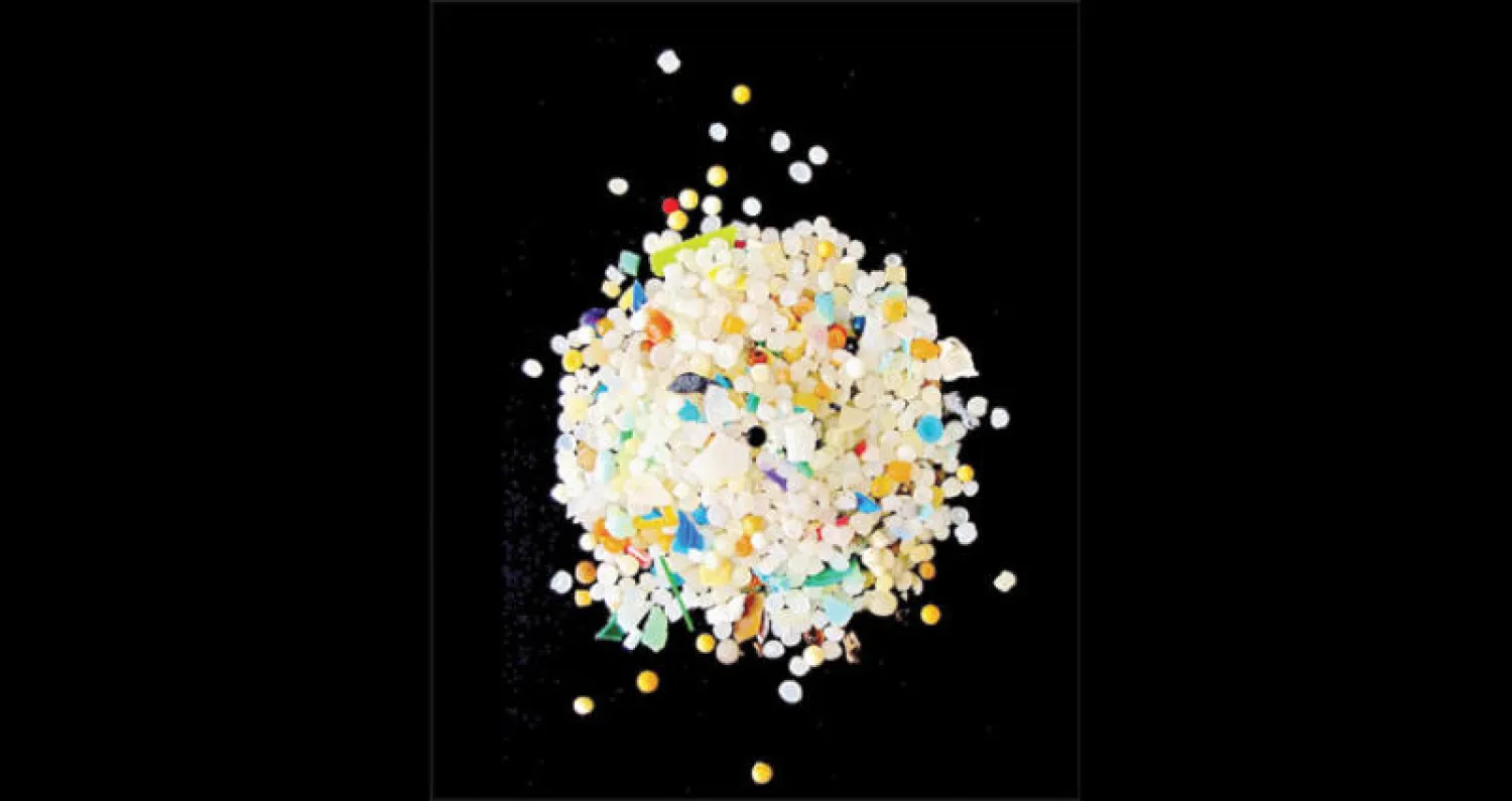 علماء يرصدون جسيمات البلاستيك في وجبات الطعام