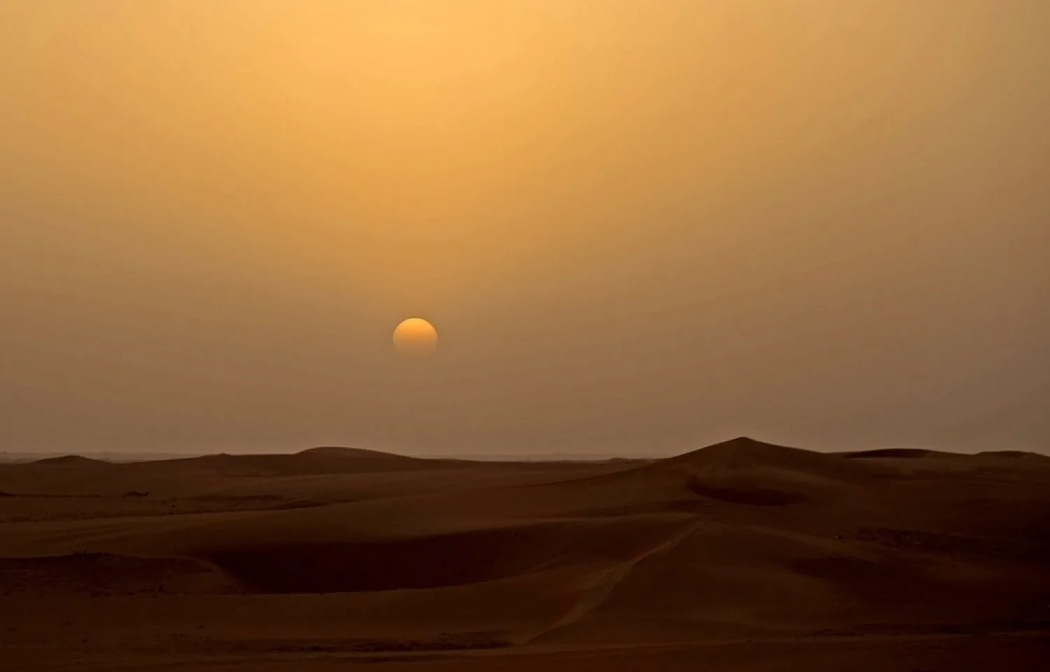 The Saudi desert. (AFP)