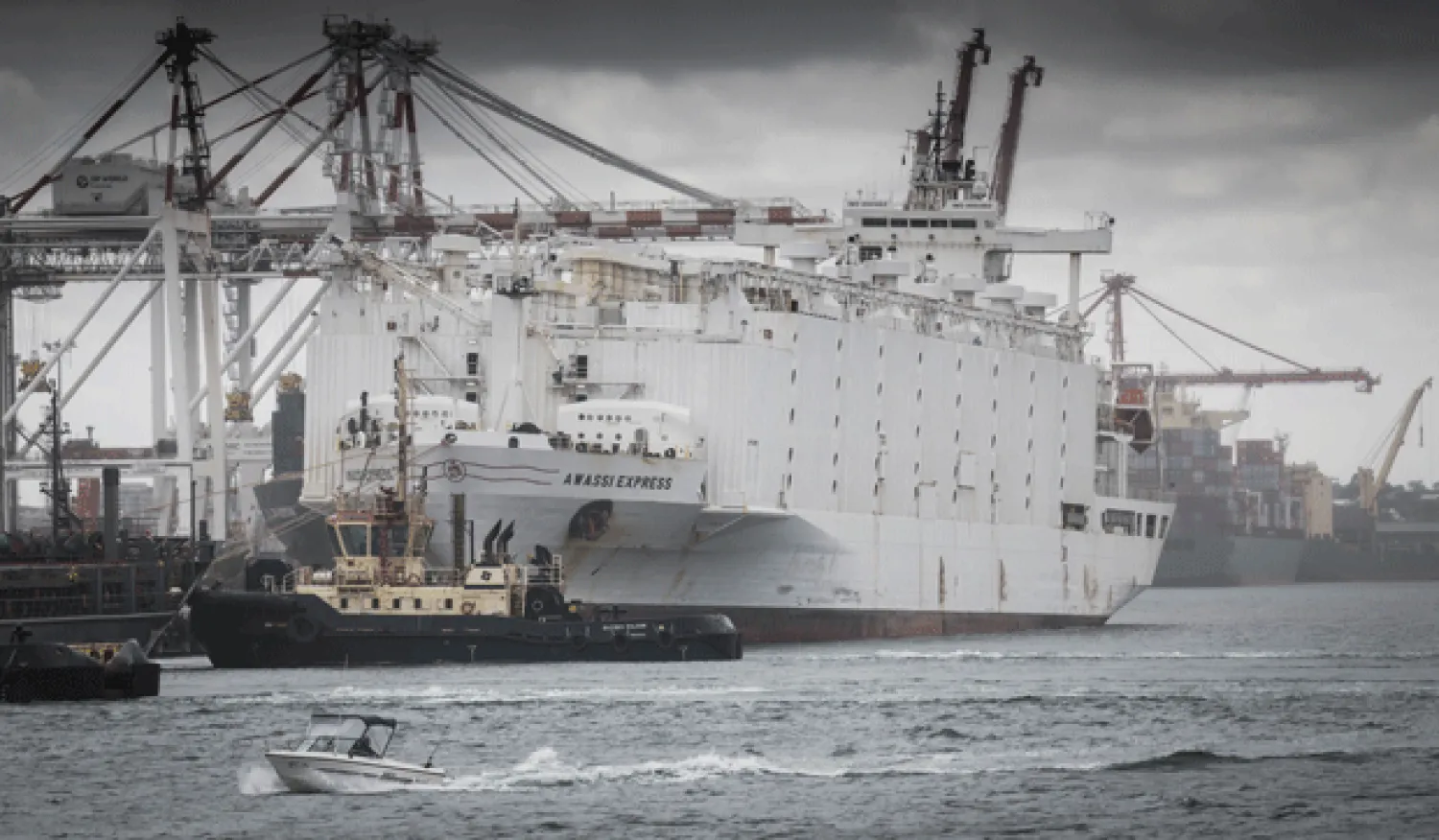 The Awassi Express is seen docked at the port of Fremantle, Perth, Australia. — Reuters photo