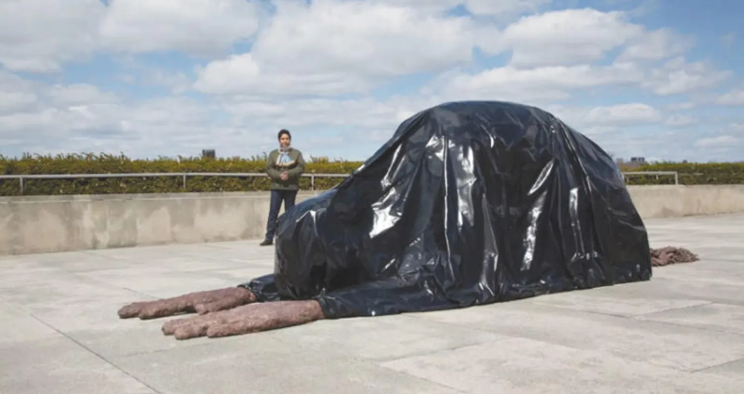 «نأتي في سلام» للفنانة هوما بهابها في نيويورك