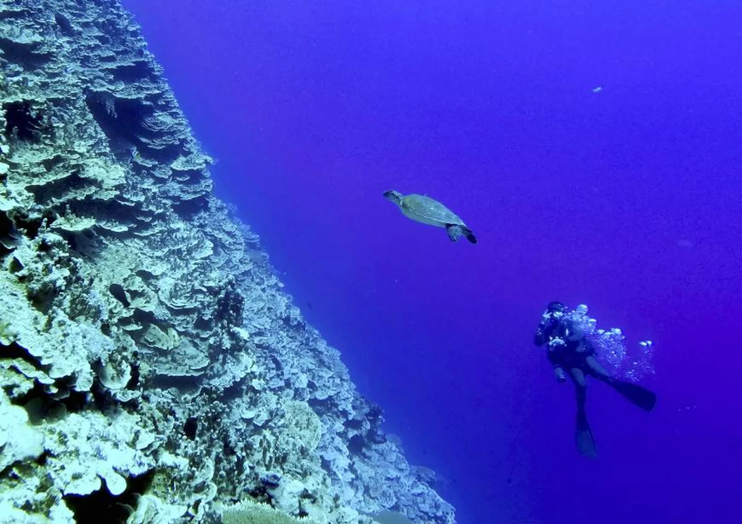 Majuro lagoon, Marshall Islands.AP