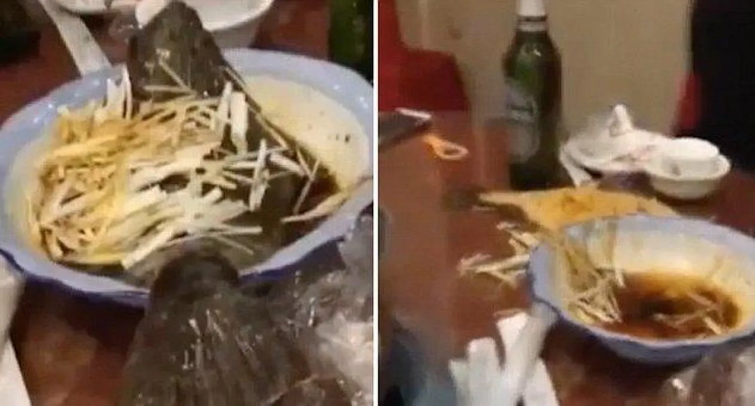 صورة مقتبسة من الفيديو المتداول على الإنترنت