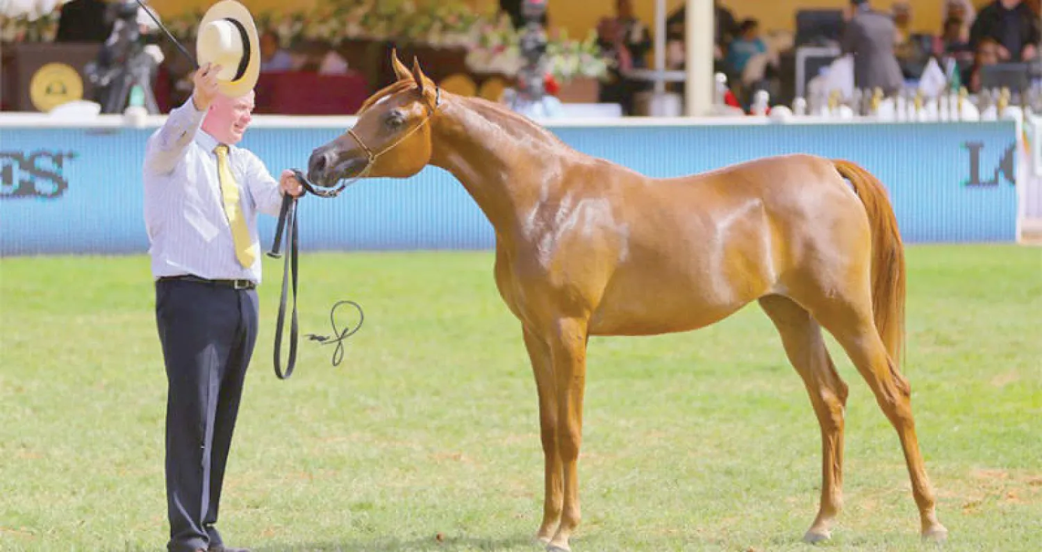 ملتقى مدريد جاء «دسما» من حيث غنى وتنوع المواضيع التي تناولها