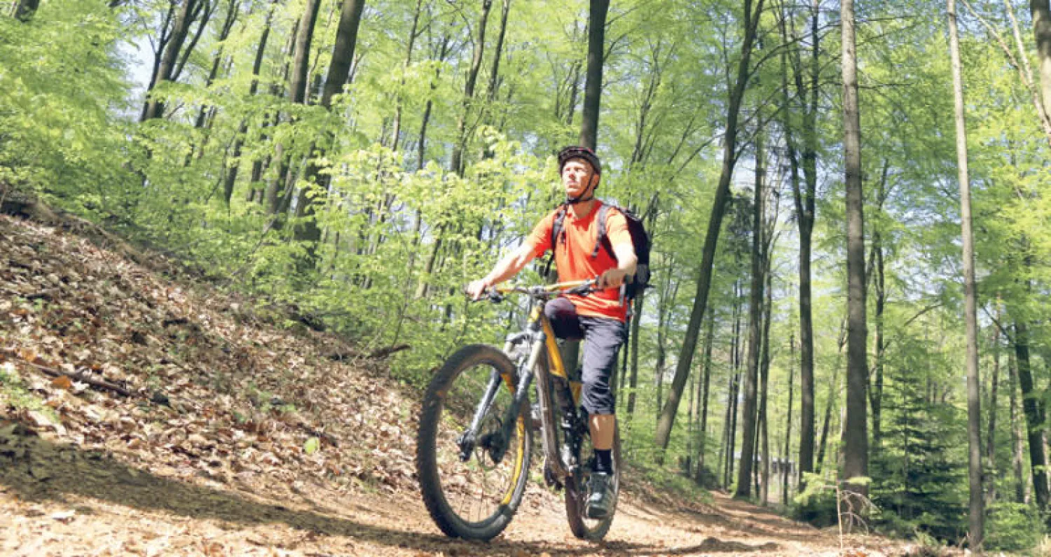 غابة بافاريا... تظلل عشاق ركوب الدراجات الجبلية