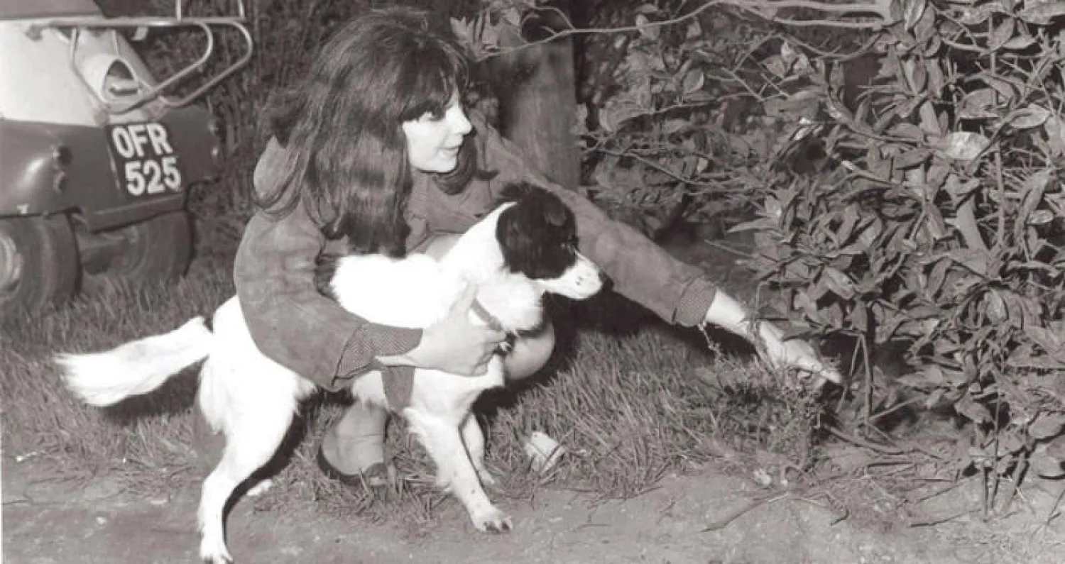 صاحبة الكلب «بيكلز» تشير إلى المكان الذي عثر فيه بيكلز على الكأس المسروقة