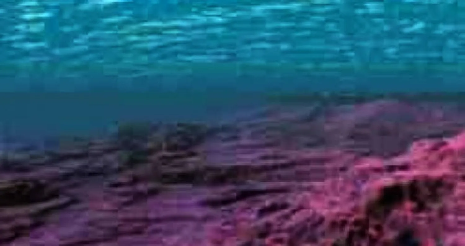 خريطة لقاع المحيطات بحلول عام 2030