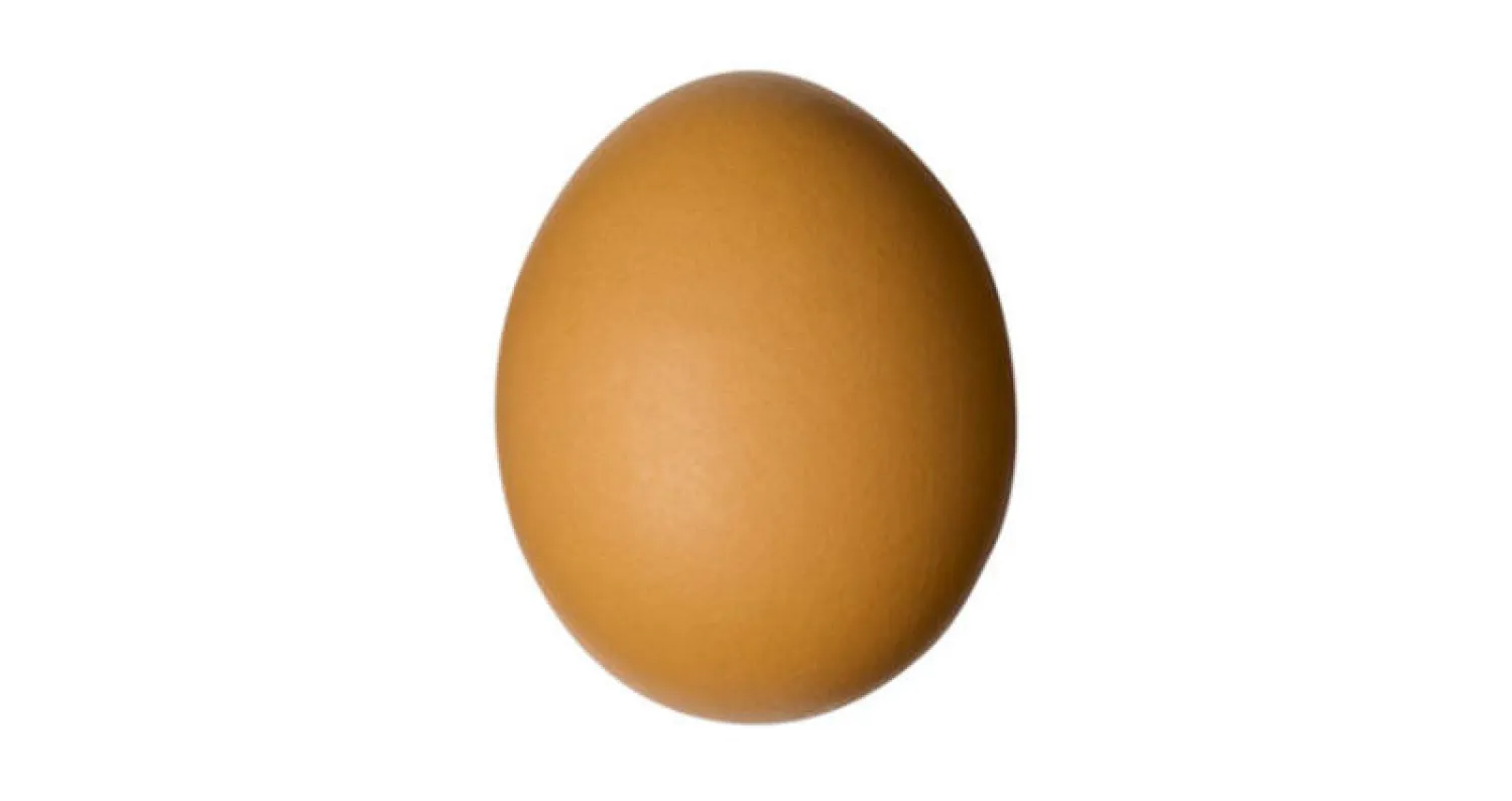 بيضة في اليوم تقي من أمراض القلب