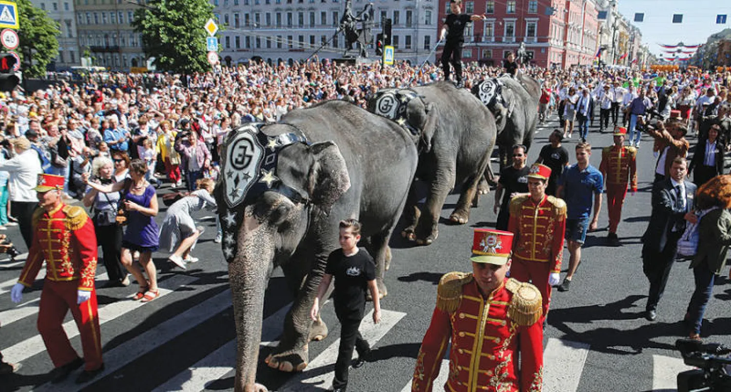 الآلاف احتشدوا في الطرق الرئيسية لمشاهدة الأفيال (رويترز)