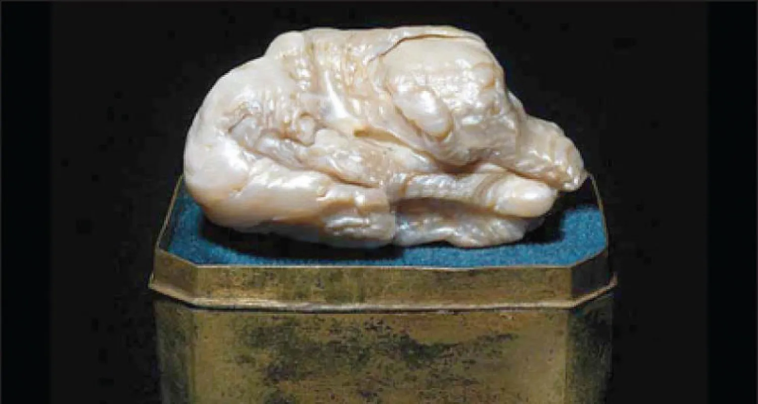 عرض أكبر لؤلؤة من المياه