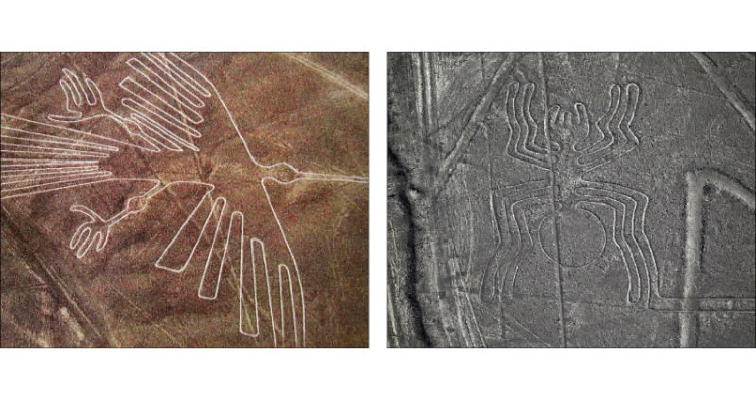 من  الأشكال التي حفرتها حضارة الباراكاس قبل أكثر من ألفي عام