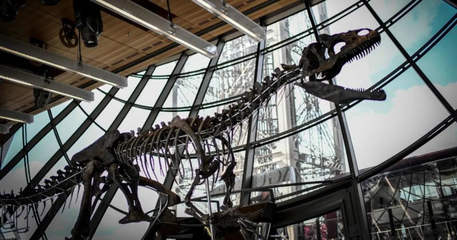 الهيكل العظمي للديناصور معروض في الطابق الأول من برج إيفل (أ.ف.ب)