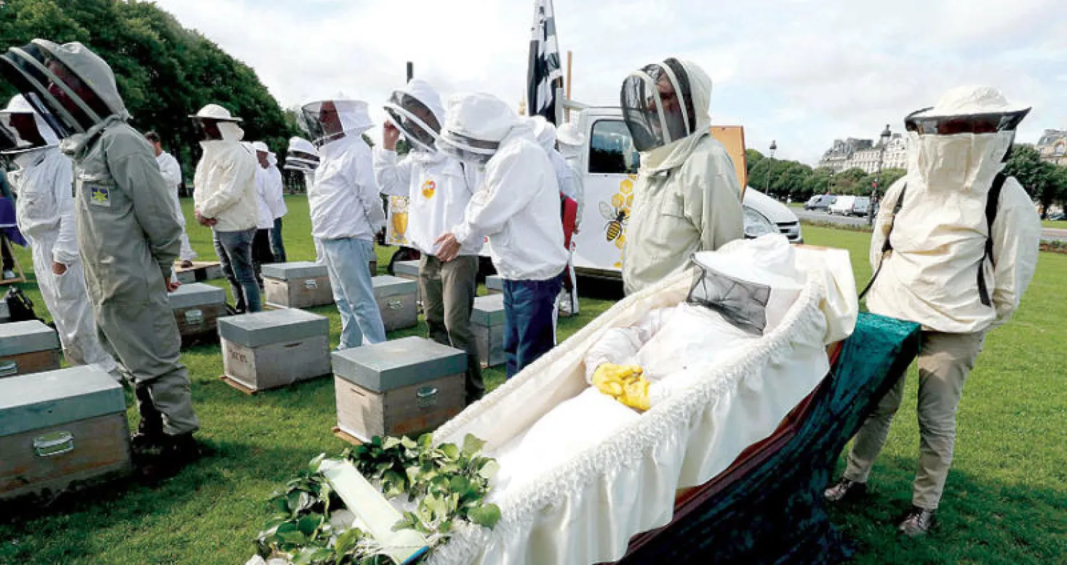 جنازة رمزية للنحل احتجاجاً على استخدام المبيدات