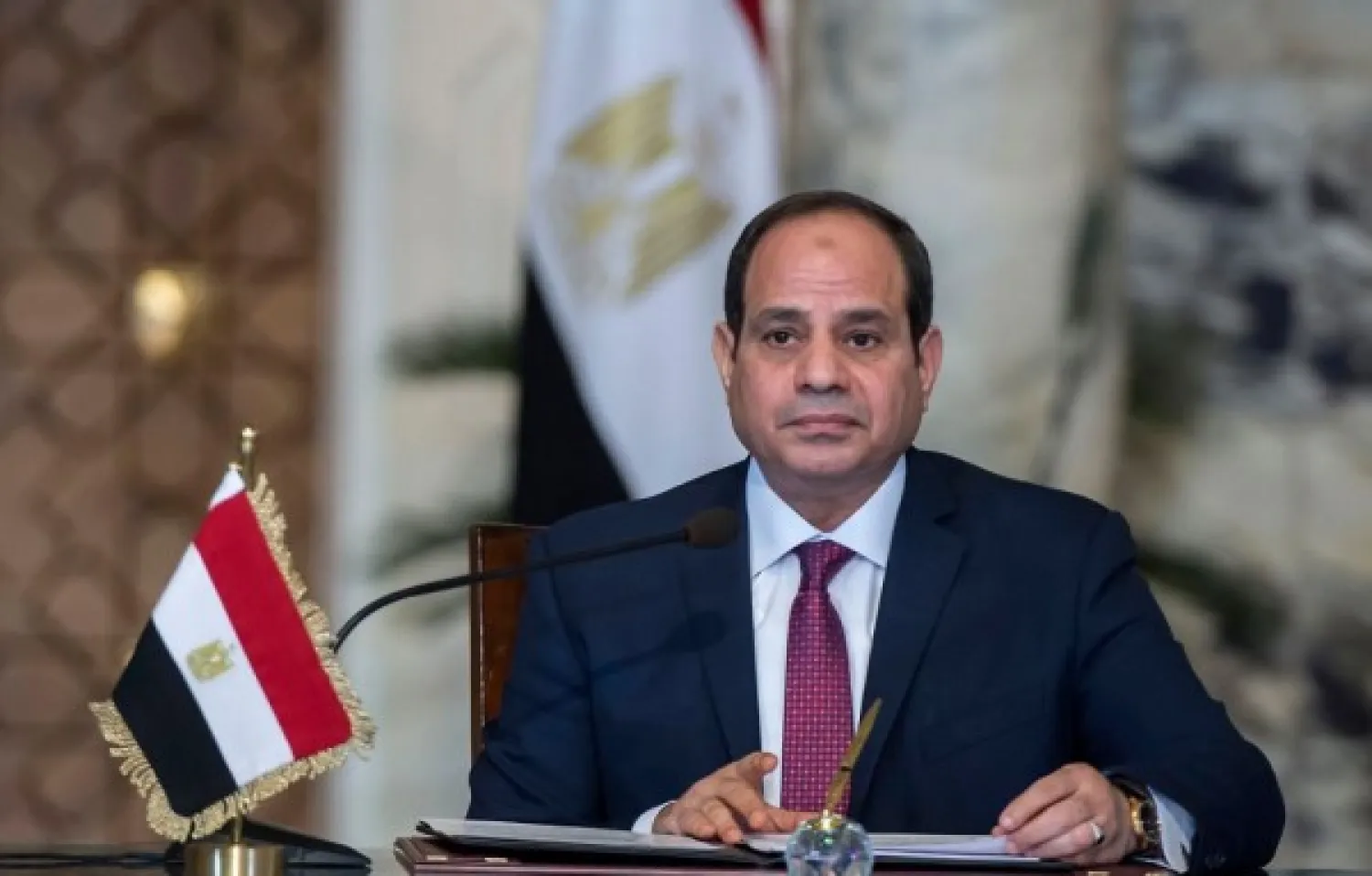 Egyptian President Abdel Fattah al-Sisi speaks on during a press conference. Photo: Khaled Desouki / AFP