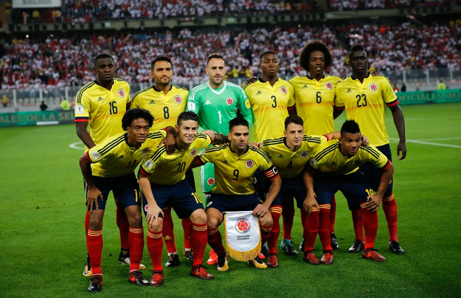 ستكون كولومبيا في موقف جيد بعد وقوعها في مجموعة سهلة نسبيا تضم اليابان والسنغال وبولندا، حيث إن المجموعة الثامنة هي الوحيدة التي لا تضم بطلا سابقا.